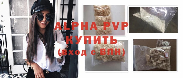 шишки Арсеньев