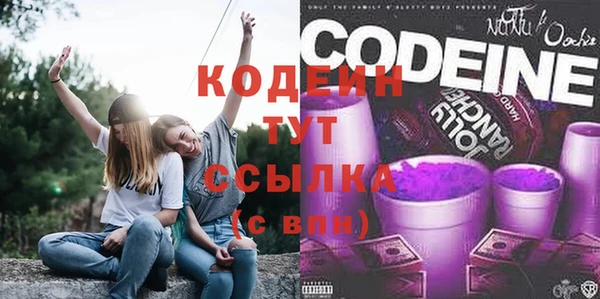 шишки Покров