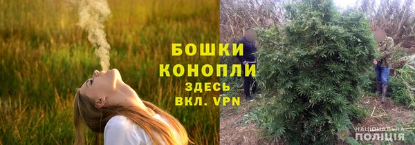 шишки Арсеньев