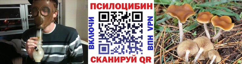 Галлюциногенные грибы Magic Shrooms  MEGA tor  Сольвычегодск 